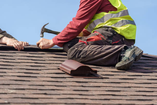 Best Storm Damage Roof Repair  in Waterloo, NE