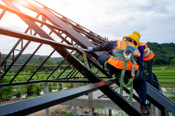 Best Residential Roofing Contractor  in Waterloo, NE