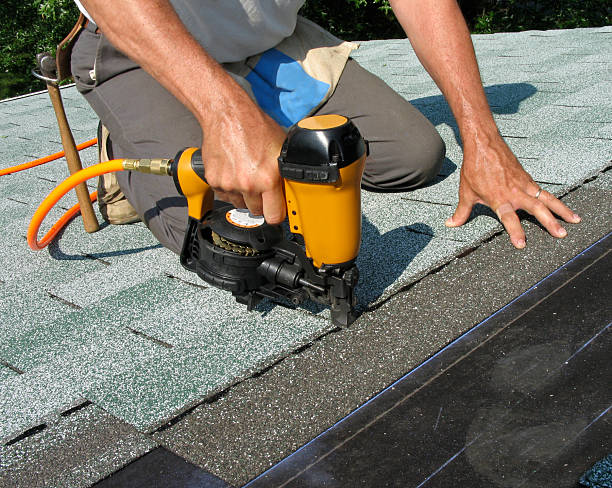 Best Roof Gutter Cleaning  in Waterloo, NE