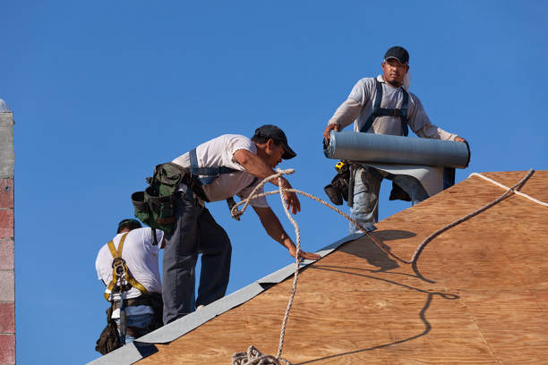 Best Residential Roofing Contractor  in Waterloo, NE