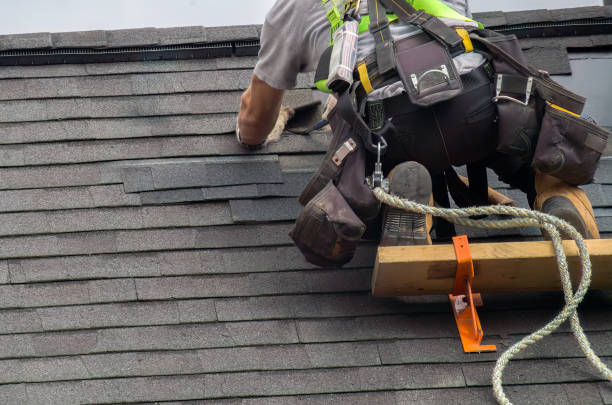 Roof Waterproofing Services in Waterloo, NE