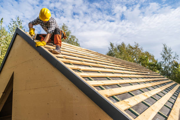 Roof Gutter Cleaning in Waterloo, NE