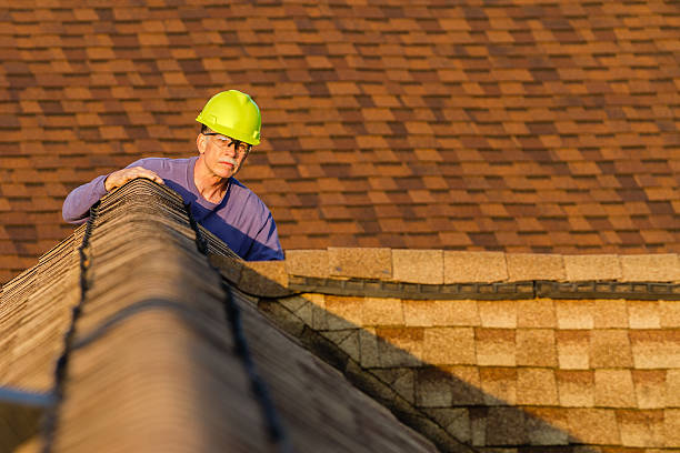 Best Storm Damage Roof Repair  in Waterloo, NE