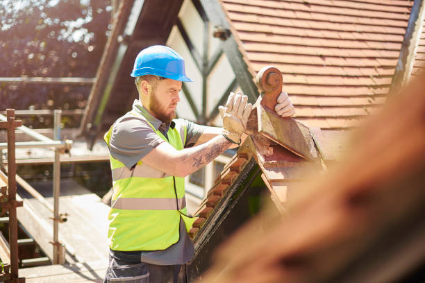 Professional Roofing Contractor in Waterloo, NE